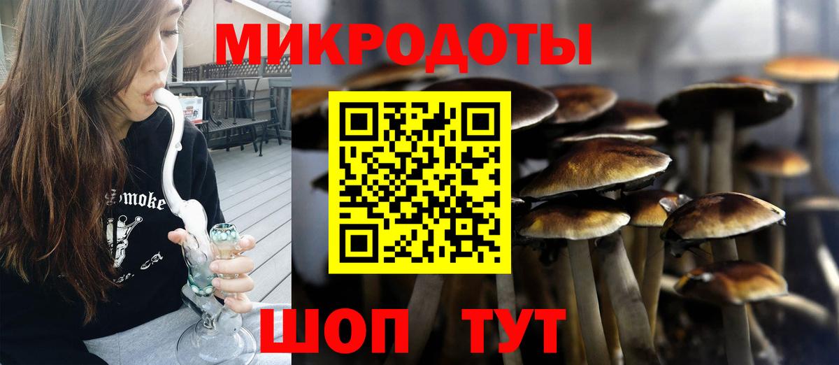 Галлюциногенные грибы Psilocybe  Вход с VPN  Рыбинск  Псилоцибиновые грибы мицелий 